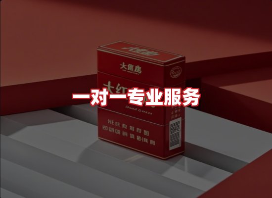 专业团队
